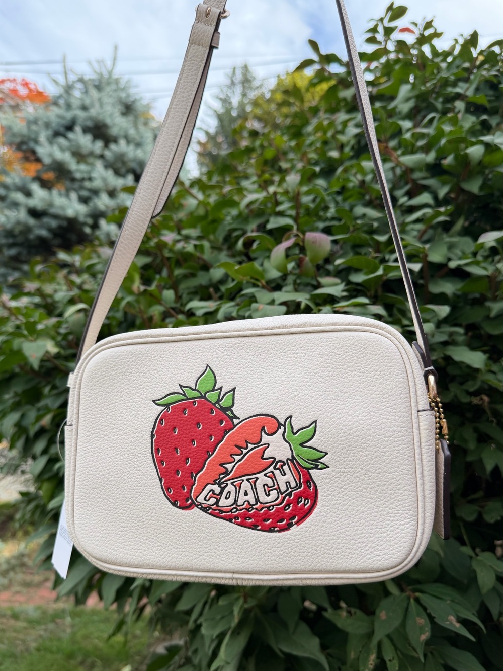 Coach Jamie Camera Bag Strawberry Graphic CBA65 Leather NWT